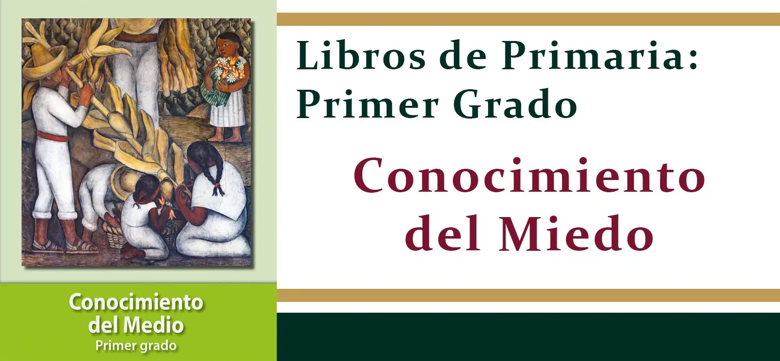 Libro Conocimiento Del Medio Primer Grado