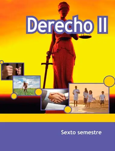 Libro: Derecho II - 6° Semestre de Bachillerato / Telebachillerato (SEP/CONALITEG) (en Línea o Descarga Gratis) | Sitio Oficial librosep.org